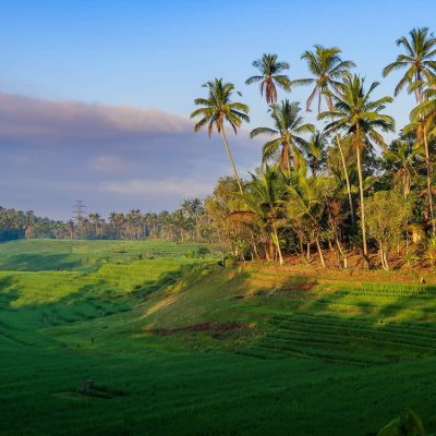 Pupuan – Hidden Highlands of Misty Terraces and Tranquility