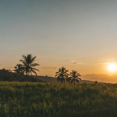 Explore Munduk With Bali Scooters